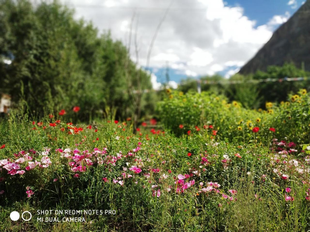 Lotus Eco Resort Hundar Exteriér fotografie